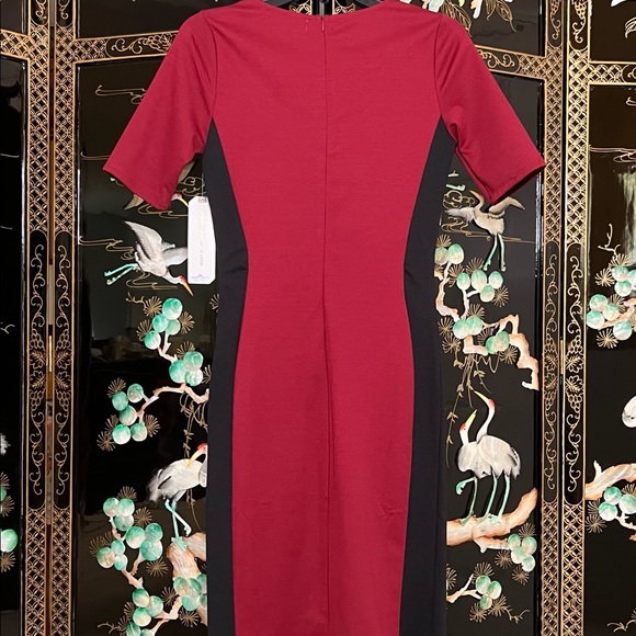 Almost Famous Color-Blocking Ruched Asymmetrical Dress - Picture 5 of 6